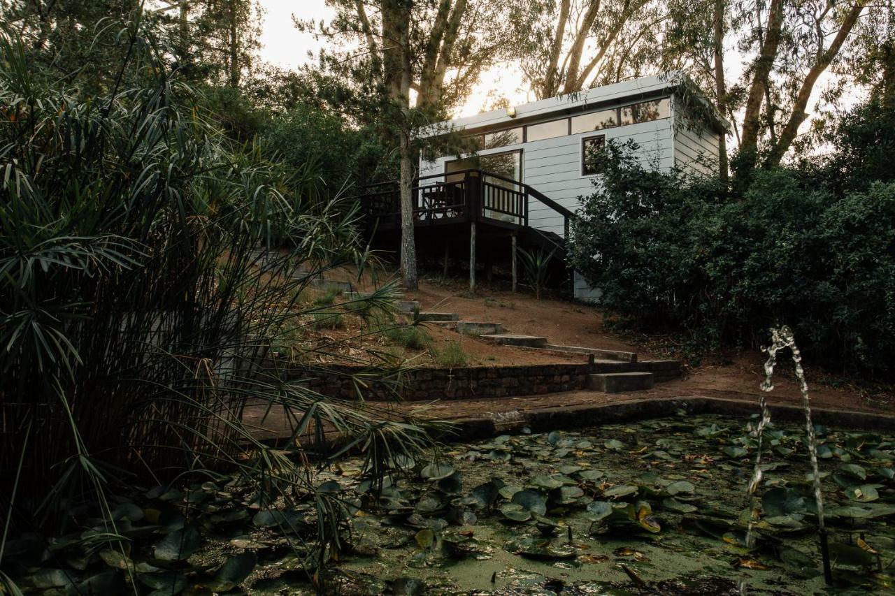 L'Auberge Country Hideaway Port Elizabeth Zewnętrze zdjęcie