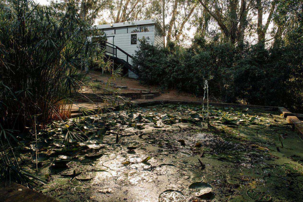 L'Auberge Country Hideaway Port Elizabeth Zewnętrze zdjęcie